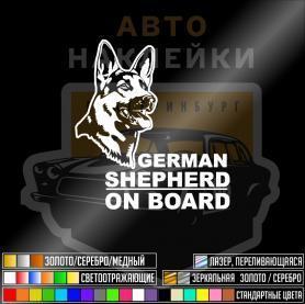 Овчарка машине